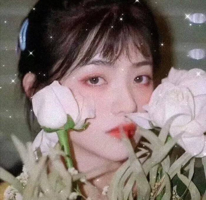 飞女芝芝