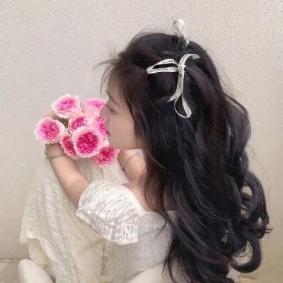 王之逆袭:意志的继承者
