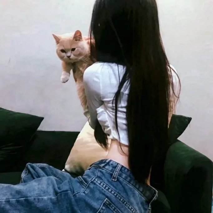 莫斯科郊外的晚上